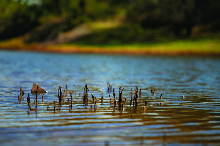 Rejuvenated lakes and ponds help to recharge ground water