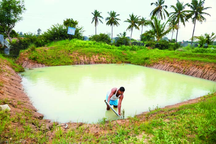 With a rejuvenated pond,farmers in Kolar region,Karnataka,have benefited immensely under Project Boond