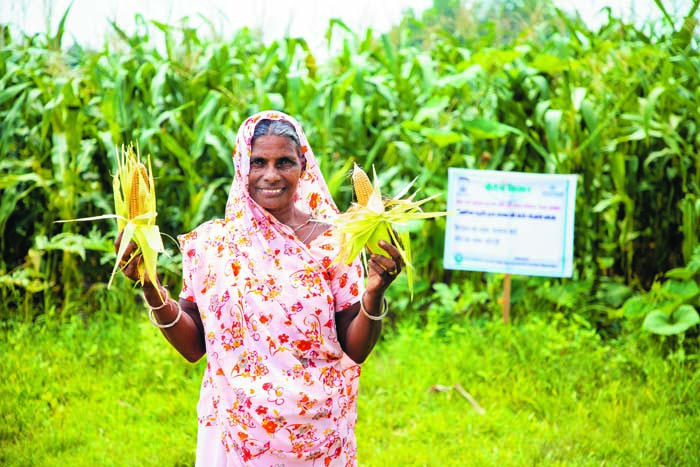 Fifty-year-old Kamla Bai, a farmer of Jhalawar district, has been getting a good yield and income after her trainng