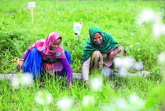  Landless farmers in Punjab have been trained