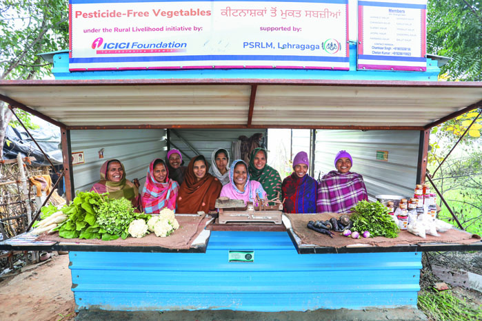  Mushroom farming is being taught in Chikmagalur and women have been
given support to run a vegetable shop in Punjab